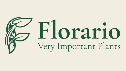 Florario.vip · Very Important Plants